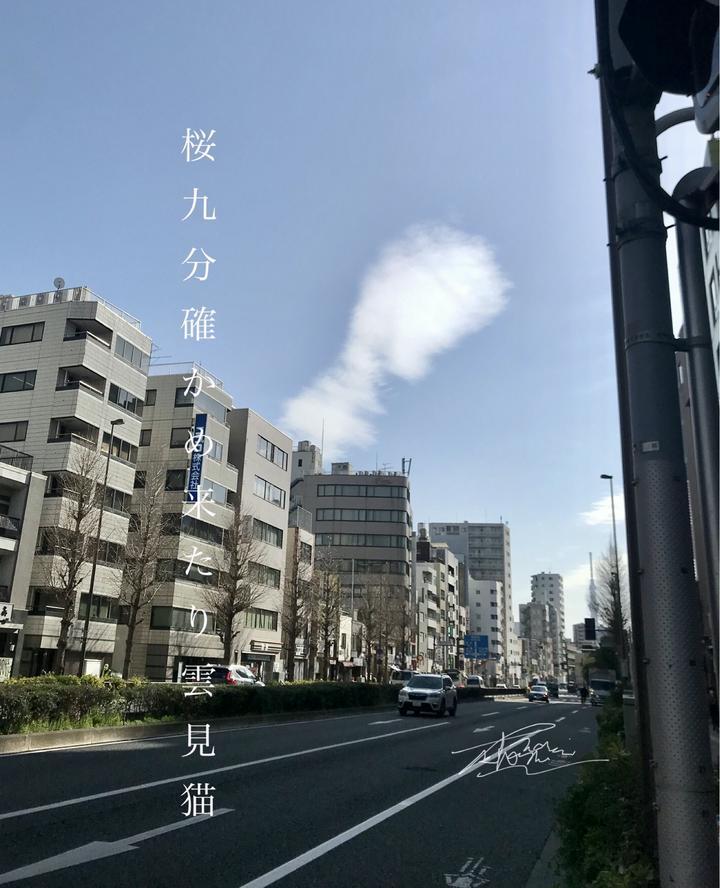 【今日の一句】毎朝、自分の投資マインドを高めるために一句詠んでいます。【速報】😲この度、おかノブさんの設立されました猫寝相芸術協会の入会を許可されました‼️ので、謹んでお受けいたしました。会長様にこの画像が猫寝相画像だと認定していただきま