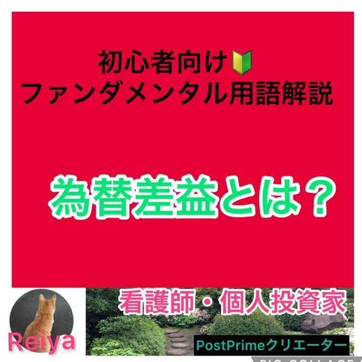 初心者向け🔰ファンダメンタル用語解説🔰
為替差益とは❓
