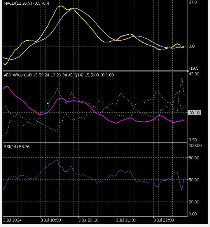 私はテクニカル分析ではMACDとADXとRSIを参考にしていて、MACD(12,26,9)、ADX Wilder(14)、RSI(14)を使っています。