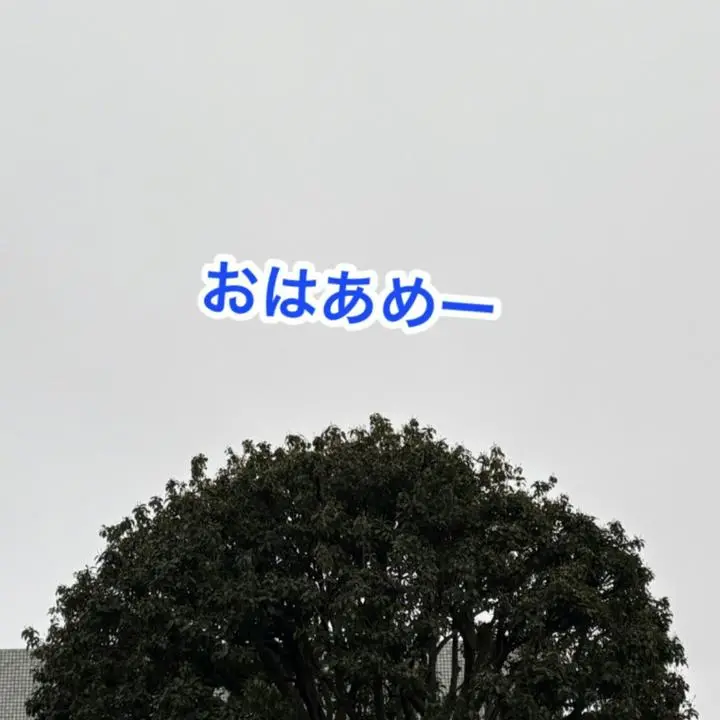 おはーよーございます！雨ですね。少しみぞれっぽい感じですね！今日も元気に頑張りましょ୧⃛(๑⃙⃘⁼̴̀꒳⁼̴́๑⃙⃘)୨⃛

#時短#コインランドリー#主婦の味方#主夫の#代行#田園都市線#市が尾駅#市が尾#市ヶ尾#田園都市#市が尾#西友#