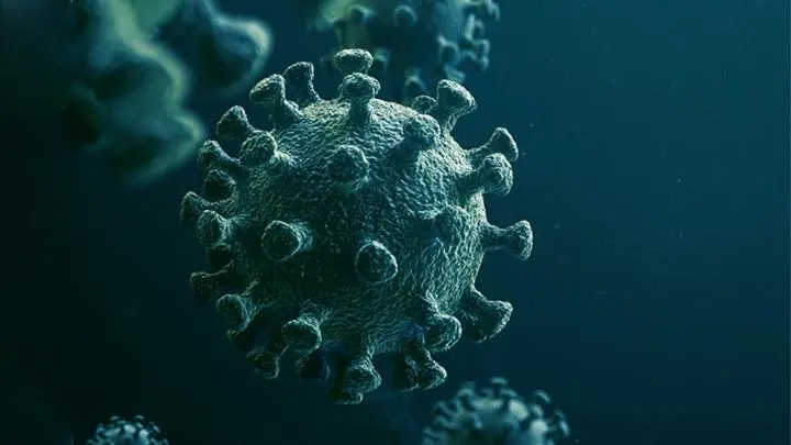 【⚠️コロナウイルスは生物兵器】
京都大学宮沢孝幸准教授が『新型コロナウイルスは人工物である』と言う論文を発表し、メディアに出演した。
出演した番組は『そこまで言って委員会』で、各大手メディアがスルーする中の快挙とも言える。