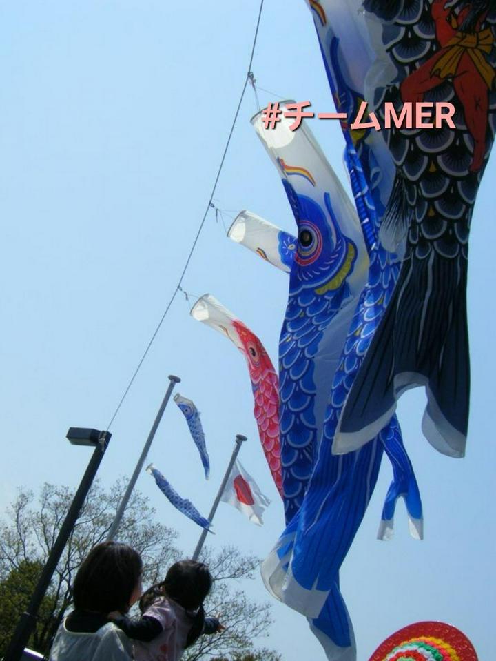 https://postprime.com/gokigen_na_Me/posts/821592

2022/5/5(木）こどもの日🎏