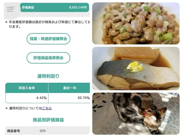 ➤確定拠出年金の現況
ＤＩＡＭ外国株式インデックスファンド<ＤＣ年金>で100％運用しています。
概要を以下に記します。