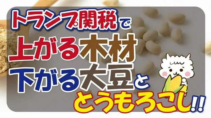 【トランプ関税で上がる木材、下がる大豆とトウモロコシ！！】2025/3/4(6:15)
https://youtu.be/KycllxtZzYc
※2025/3/4(火)6:15時点