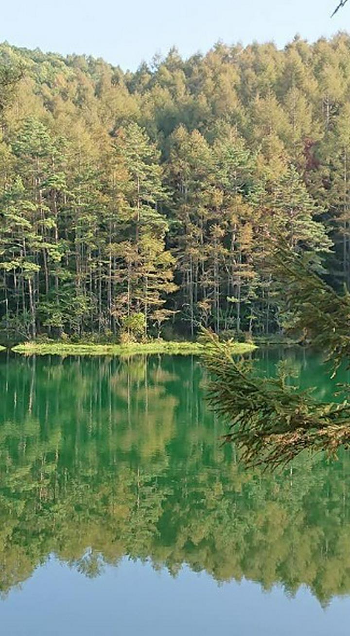 みしゃが池です。#リレー投稿
東山魁夷画伯はこの構図に白馬を添えました。
始めてこの池を訪れた時、のんきの母は小島周辺に白馬の姿を確かに感じました。
