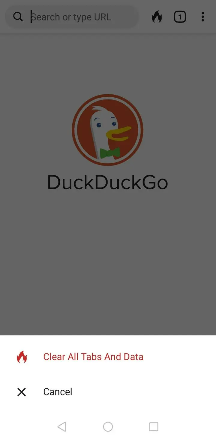 ダックダックゴー
右上の炎押すとClear all tabs and data.
が出ます。