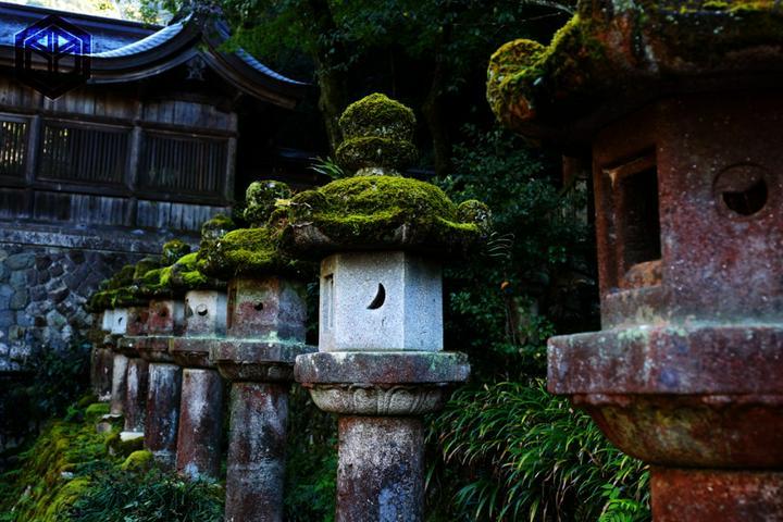 ★ #思い出の写真たち 、題名『 #月の満ち欠け 』 #5 ★
━━━━━━━━━━━━
