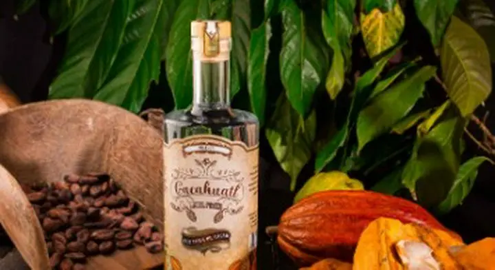 ブラジルで2020年末に、カカオの果肉から作る蒸留酒が発売され、注目を集めている。現地の農業専門雑誌「Conexão Safra」や現地紙「uol」などが伝えている。

カカオのお酒といえば、焙煎後のカカオ豆を粉砕したものを蒸留酒に漬けたお